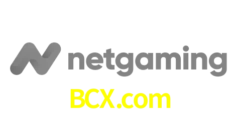 NetGaming